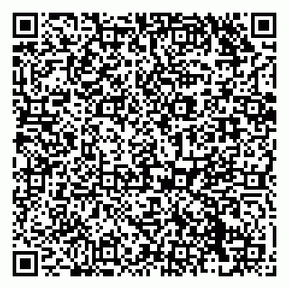vCard 79138290271