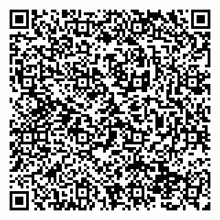 vCard 79138290294