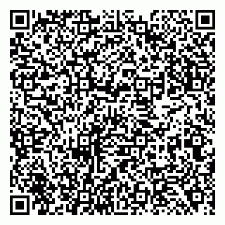vCard 79138290299