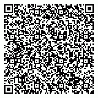 vCard 79138290303