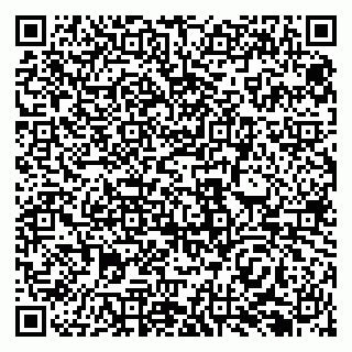 vCard 79138290318