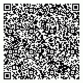 vCard 79138290335
