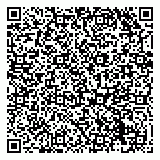 vCard 79138290337
