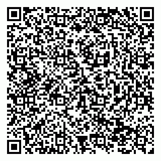 vCard 79138290403