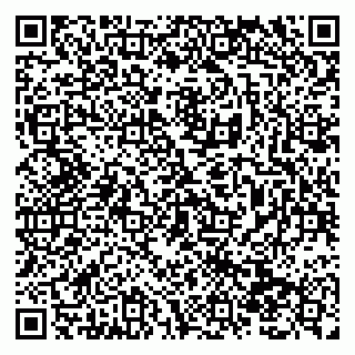 vCard 79138290409