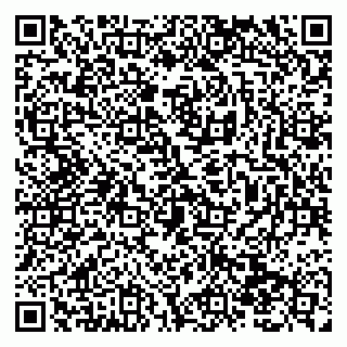 vCard 79138290455