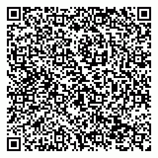 vCard 79138290476