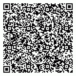 vCard 79138290481