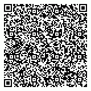 vCard 79138290486