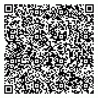 vCard 79138290489