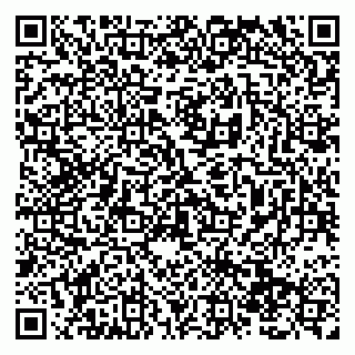 vCard 79138290673