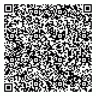 vCard 79138290683