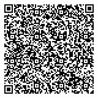 vCard 79138290704