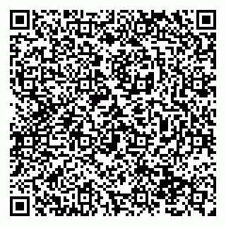 vCard 79138290752