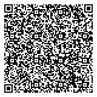 vCard 79138290771