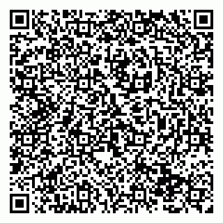 vCard 79138290776