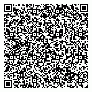 vCard 79138290789
