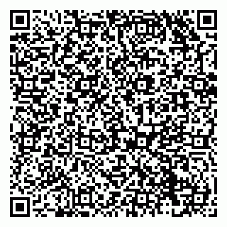 vCard 79138290797