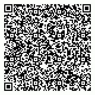 vCard 79138290802
