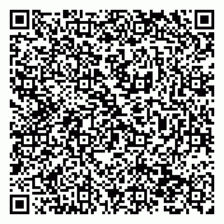 vCard 79138290804