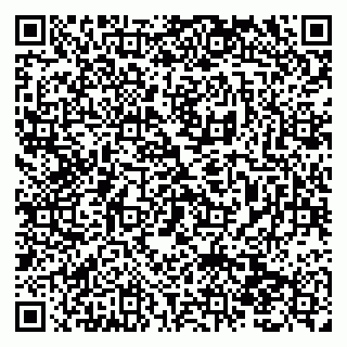 vCard 79138290809