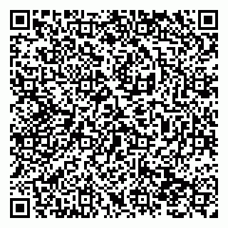 vCard 79138290874