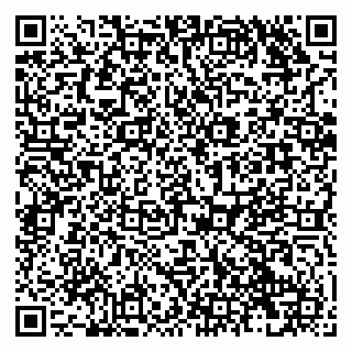 vCard 79138290901
