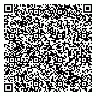 vCard 79138290909