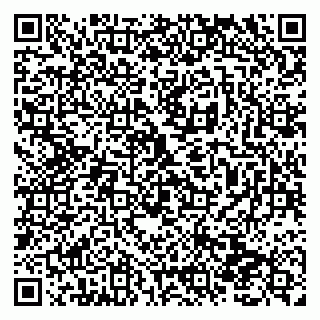vCard 79138290945