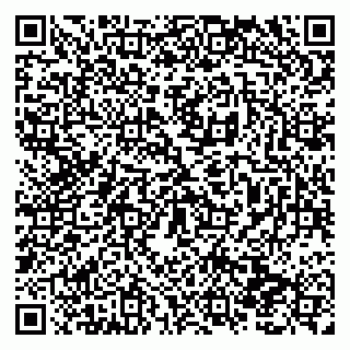 vCard 79138290971