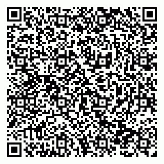 vCard 79138290983