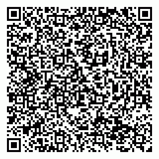 vCard 79138291002