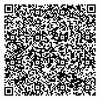 vCard 79138291102