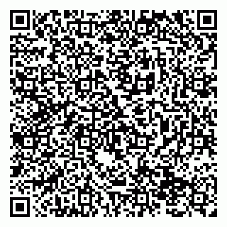 vCard 79138291209