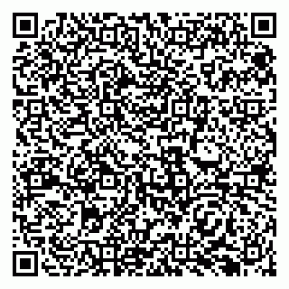 vCard 79138291301