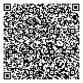 vCard 79138291306