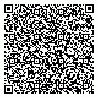 vCard 79138291310