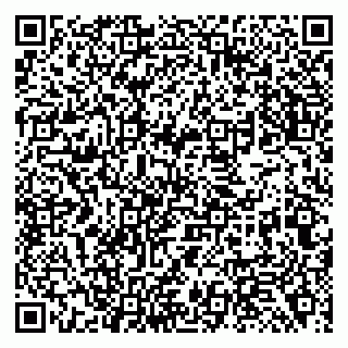 vCard 79138291313
