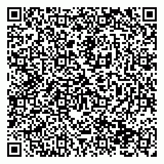 vCard 79138291315