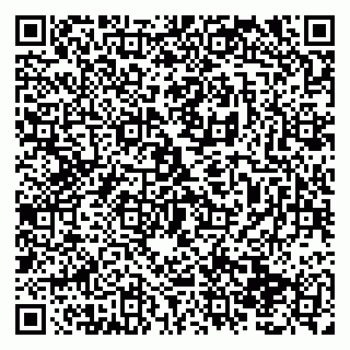 vCard 79138291317