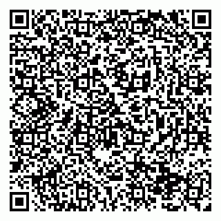 vCard 79138291319