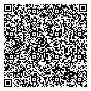 vCard 79138291320