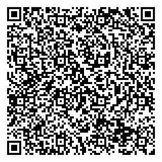 vCard 79138291329