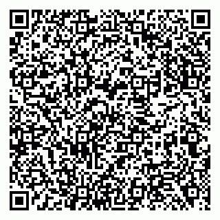 vCard 79138291331