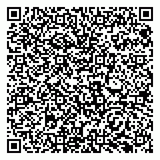 vCard 79138291333