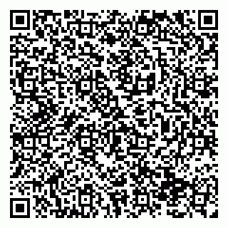vCard 79138291334