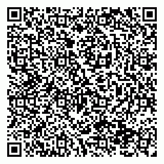 vCard 79138291335