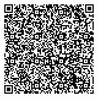 vCard 79138291337
