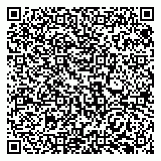 vCard 79138291344