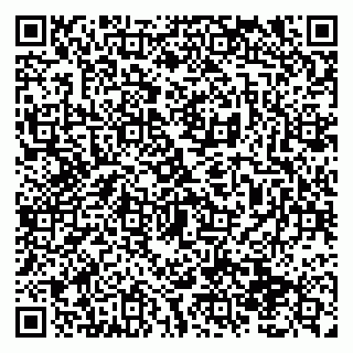 vCard 79138291345
